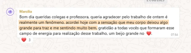 feedback_terapia_sistemica_5